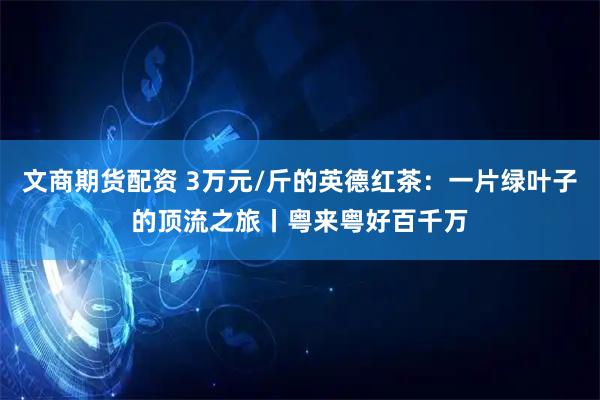 文商期货配资 3万元/斤的英德红茶：一片绿叶子的顶流之旅丨粤来粤好百千万