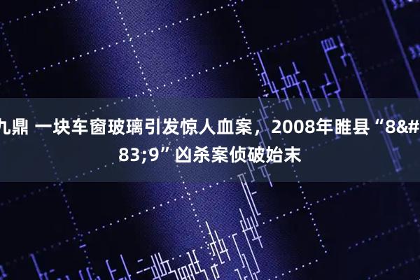 九鼎 一块车窗玻璃引发惊人血案，2008年睢县“8·9”凶杀案侦破始末