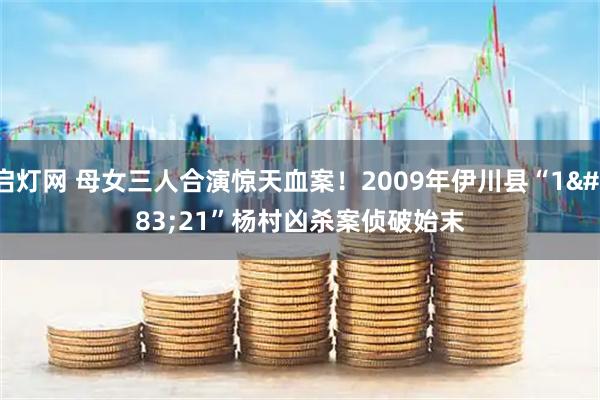 启灯网 母女三人合演惊天血案！2009年伊川县“1·21”杨村凶杀案侦破始末