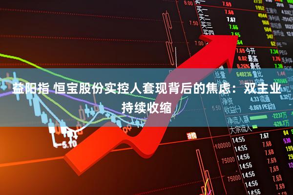 益阳指 恒宝股份实控人套现背后的焦虑：双主业持续收缩