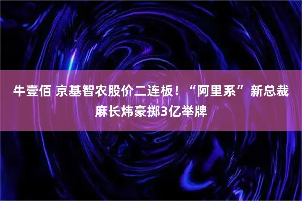 牛壹佰 京基智农股价二连板！“阿里系” 新总裁麻长炜豪掷3亿举牌